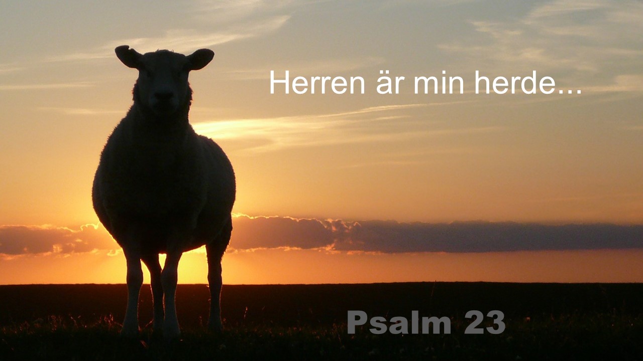 Intro till Psalm 23 + samtalsfrågor